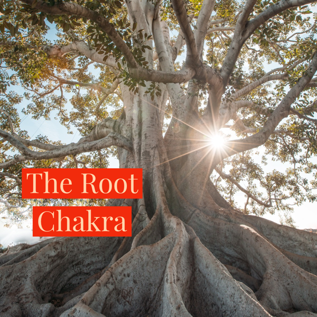 The Root Chakra:  For Beginners